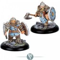 Fjell Warriors Trooper Box