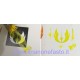 Imperial Logo - Set di stencil in vinile