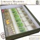 LIMITED EDITION - Lorenzo il Magnifico- Organizer