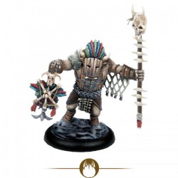 Bisotaur Shaman