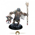 Fallow Shaman