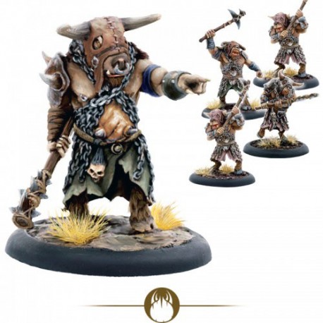 Bisotaur Shaman