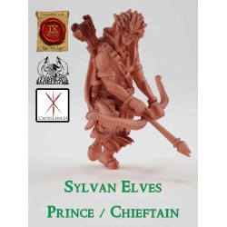 Sylvan Elves - Chieftain / Prince