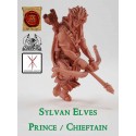 Sylvan Elves - Chieftain / Prince