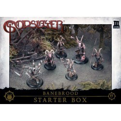 Starterbox Banebrood