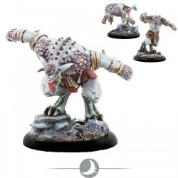 Feral Grayhorns