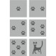 CatVenture dice set