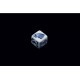 The Throne of Dice