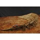 GasHalla Parabolic